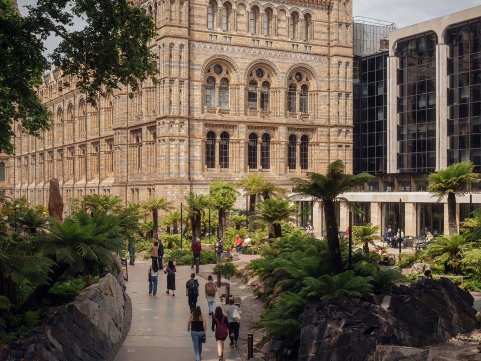 1 Urban Nature Project by Jim Stephenson The Trustees of The Natural History Museum Feilden Fowles J L Gibbons